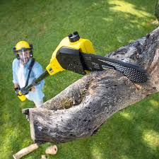 Best Grass Overseeding  in Flanders, NJ