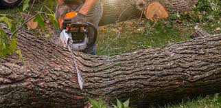 Best Lawn Mowing  in Flanders, NJ